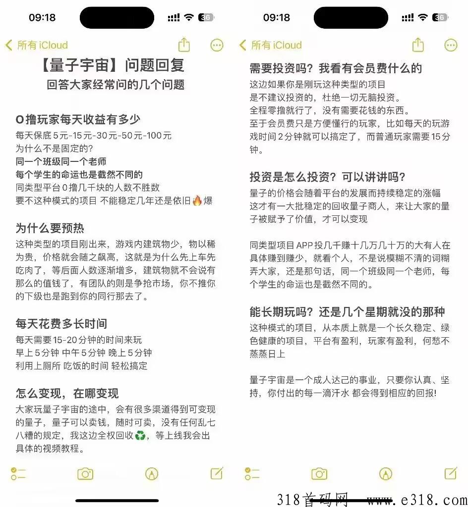 量子宇宙项目，最牛的扶持