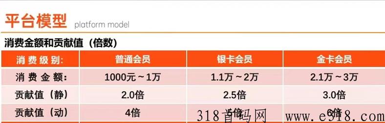 倍多多首码！模式给力！自动排线！扶持拉满对接团队长