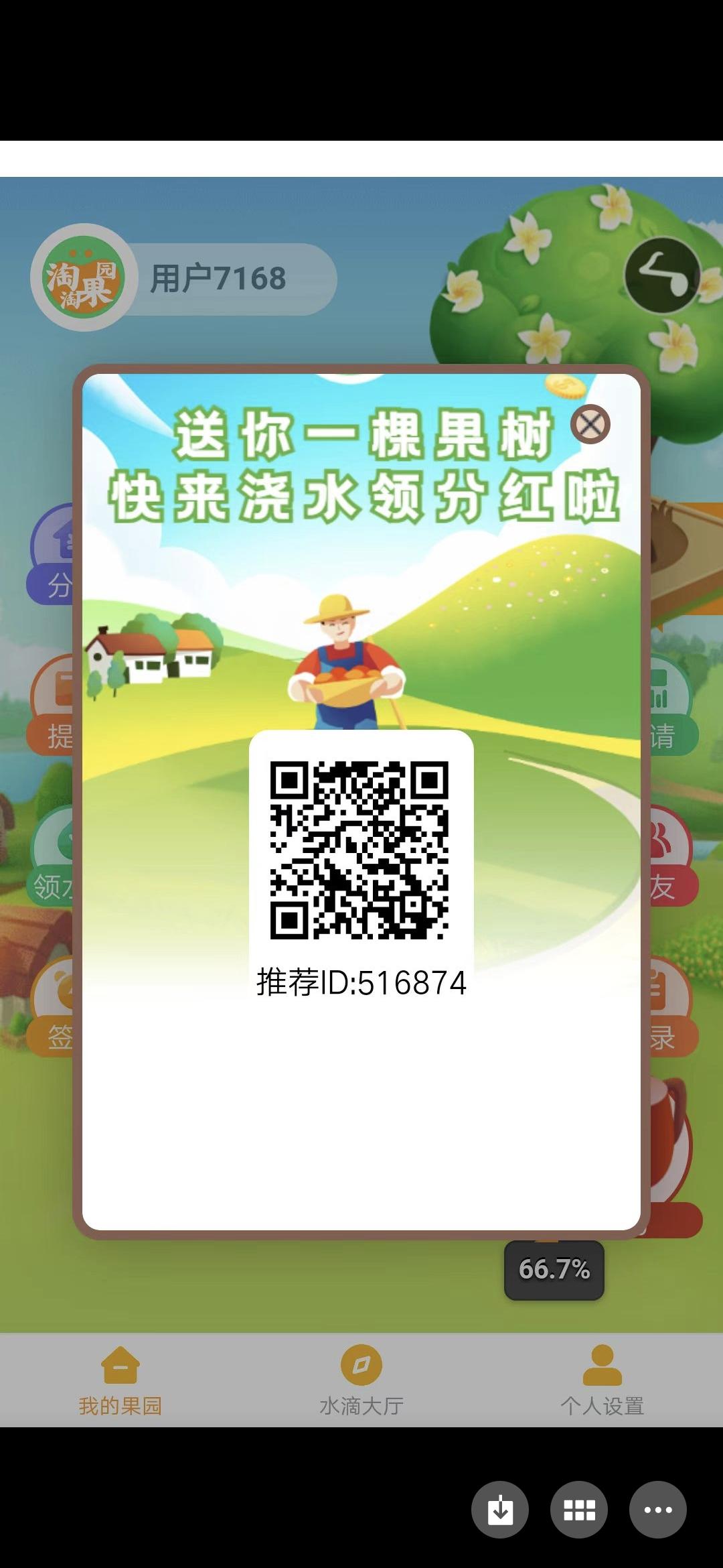 淘淘果园，简单每天分h的项目