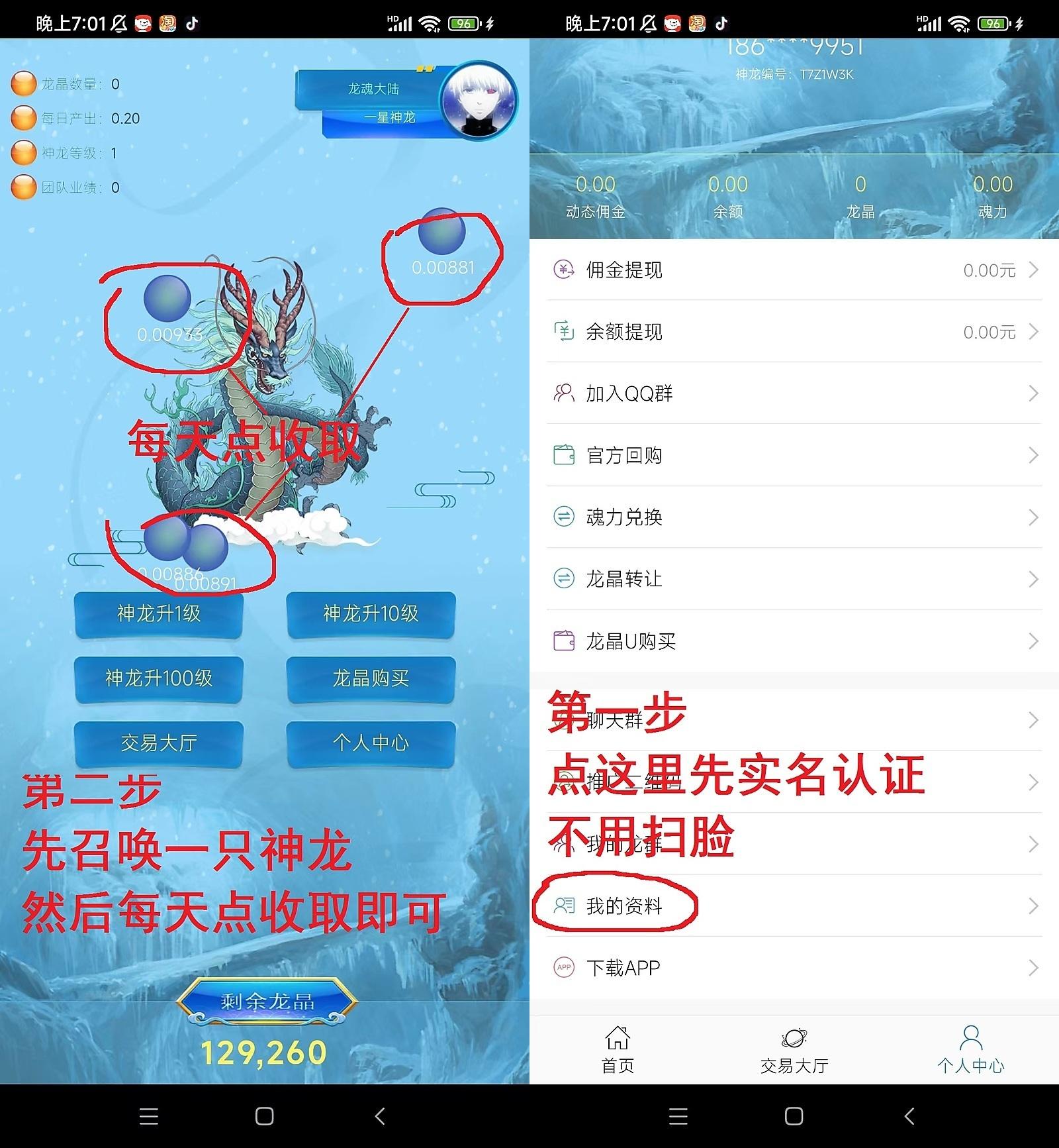 龙魂大陆每天签到不看广告不复投，推广代收益，有视频教程