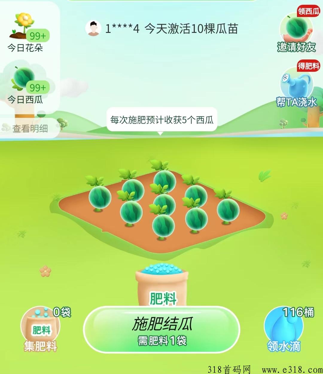 种西瓜赚米，最新项目