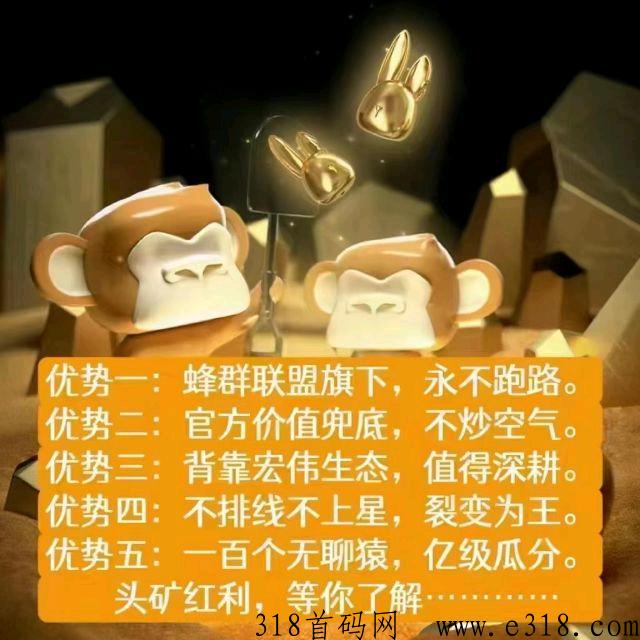 潮玩宇宙蜂群联盟旗下项目稳定靠谱，堆积恩格尔大团队，稳定靠谱