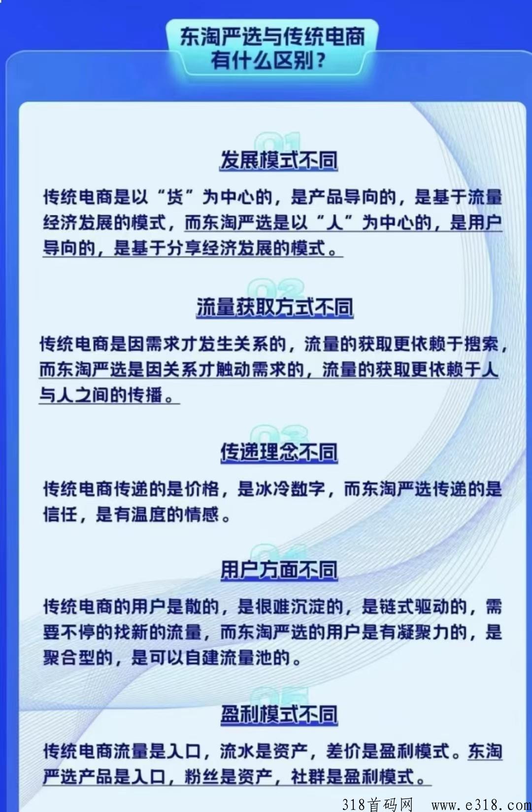 东淘严选无货源电商