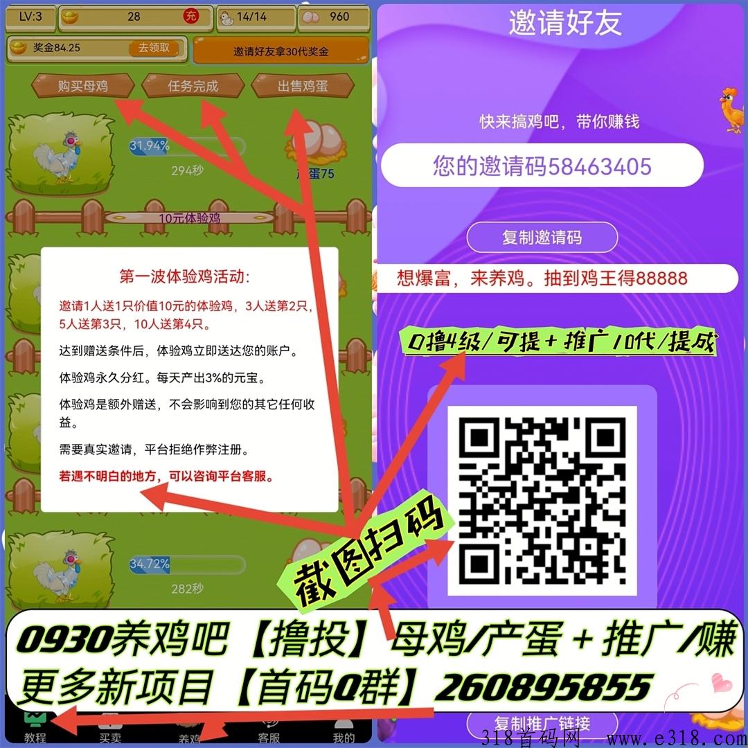 养鸡吧，首码上线，聚宝模式