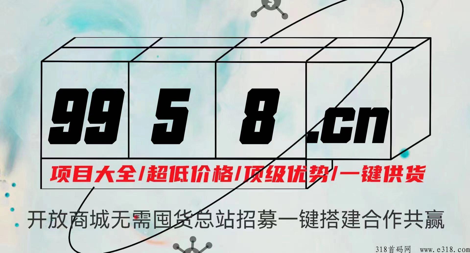 9958零创联盟，低价成为站长