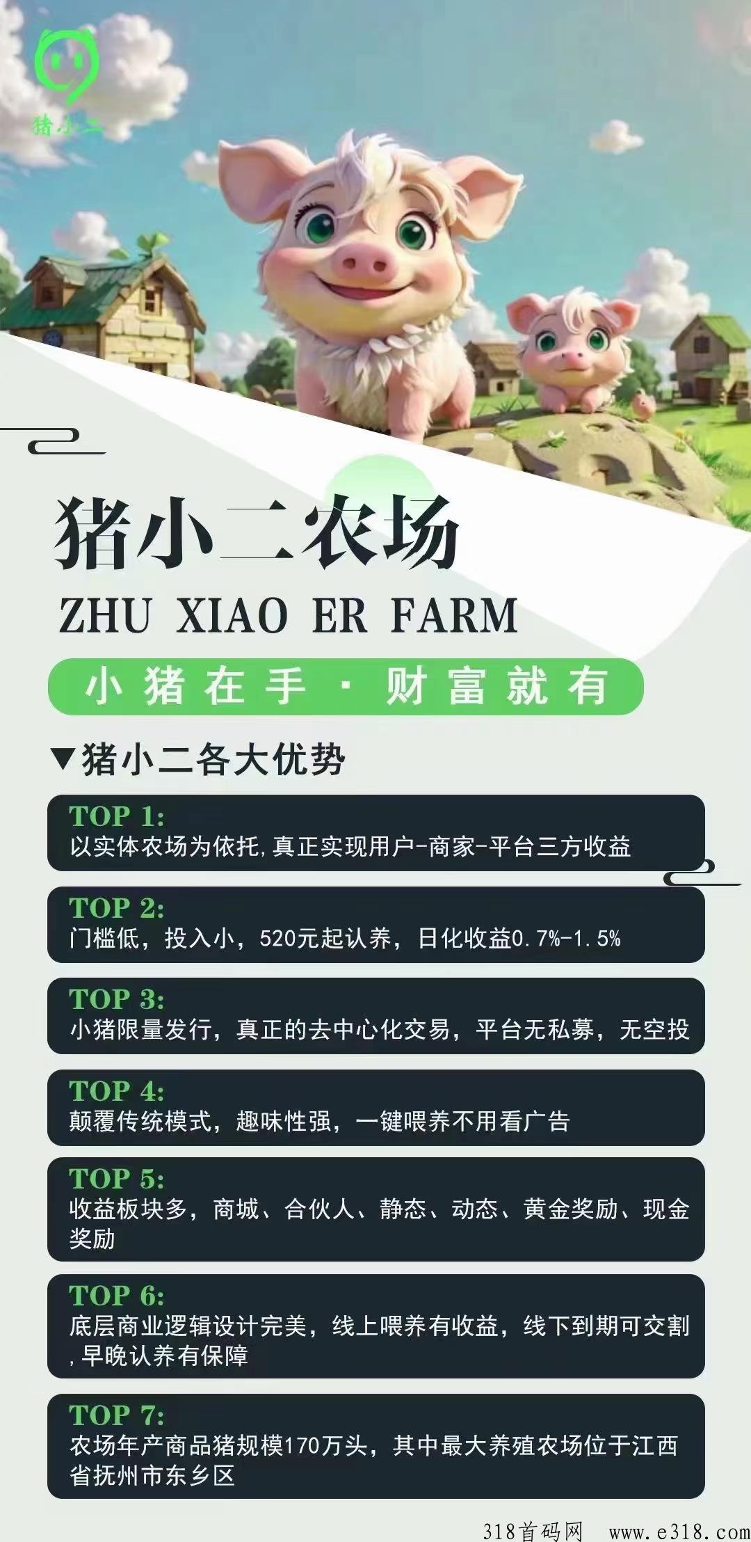 猪小二出圈项目，真正实体