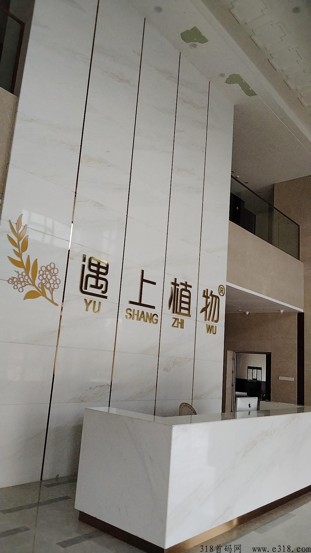 享买汇遇上植物