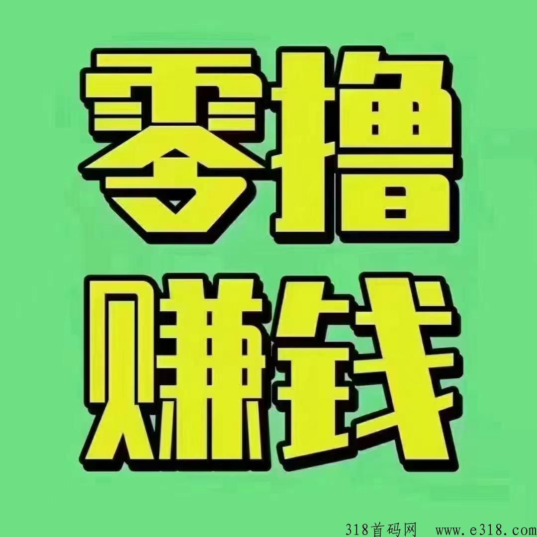 无限赚今年黑马项目