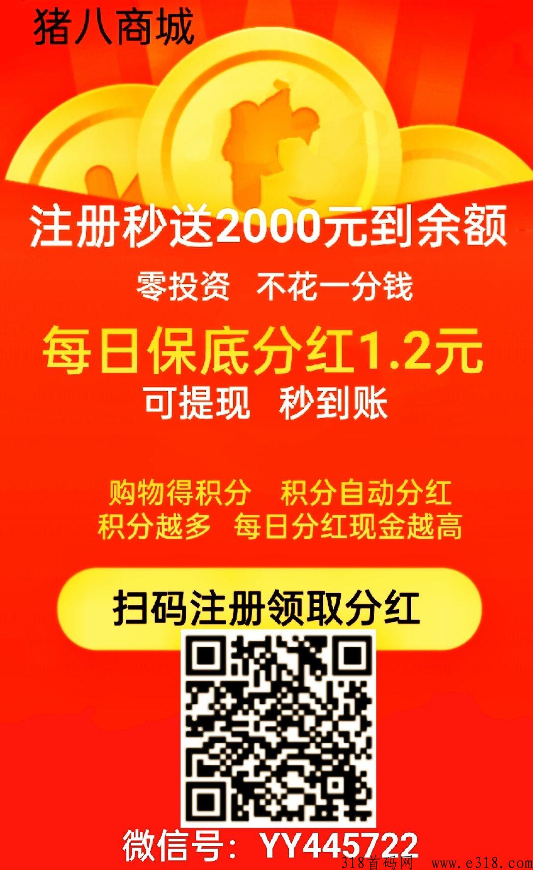 汇小猪，逆天改命