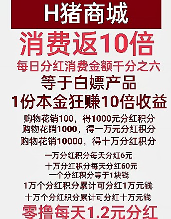 汇小猪最新1秒首码，购物返十倍，全网一片空白，抓住机遇，一战封神，未来黑马