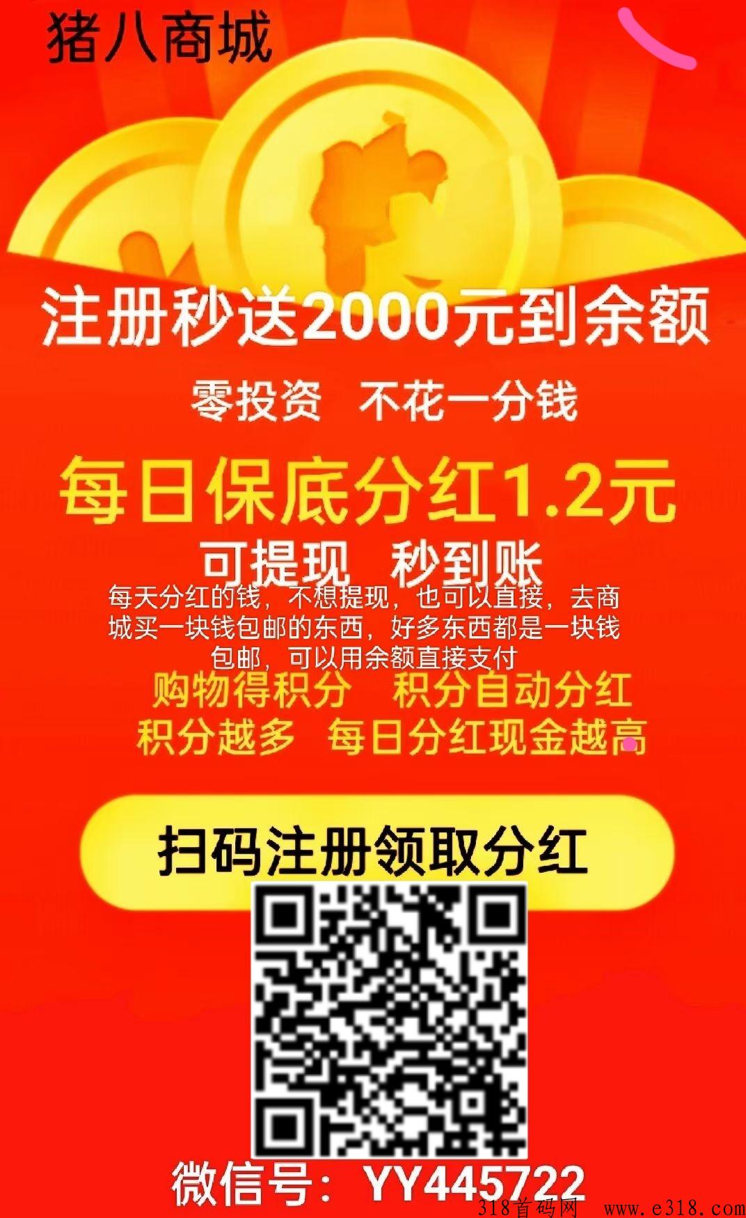 汇小猪刚出首码，购物返十倍，全网一片空白，抓住机遇，一战封神，未来黑马