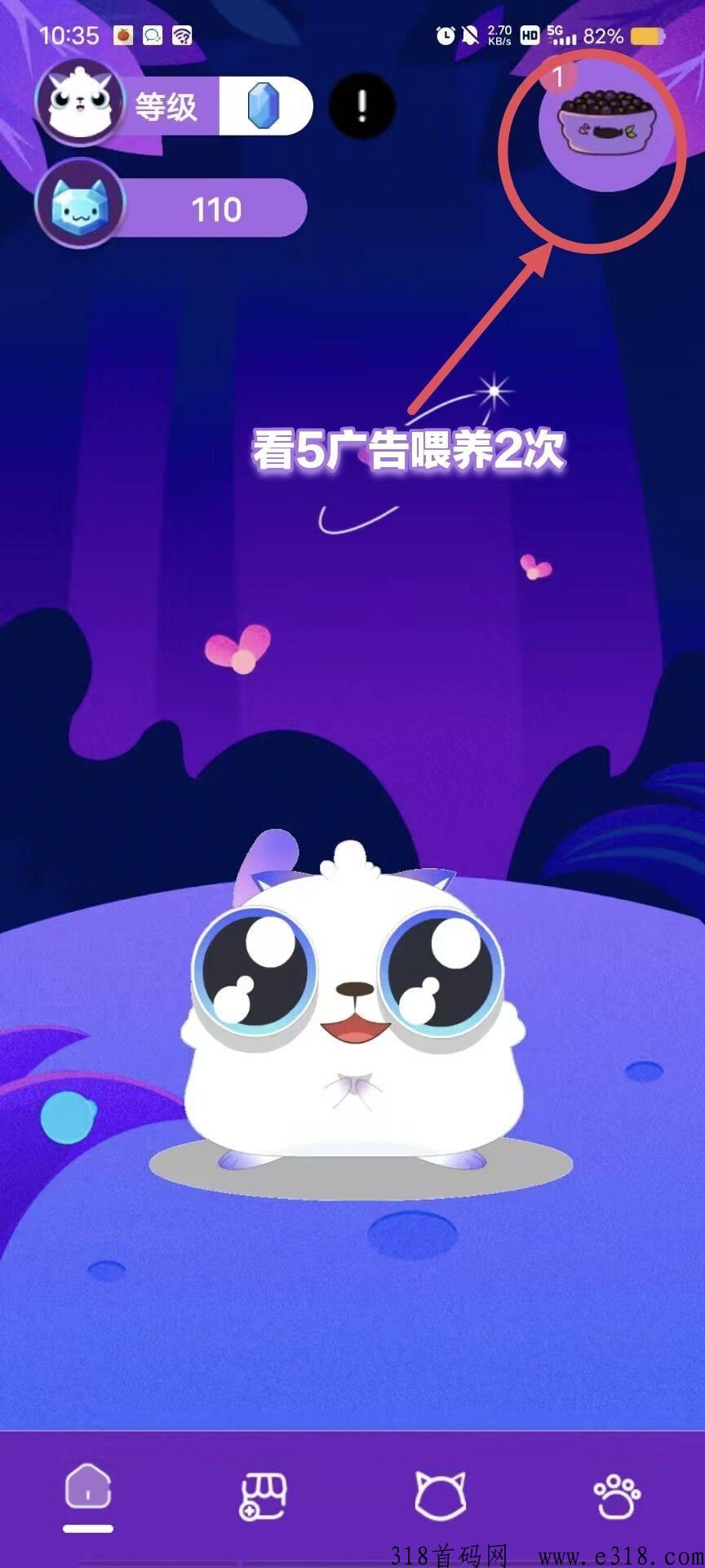 宠物猫，大毛扶持散户
