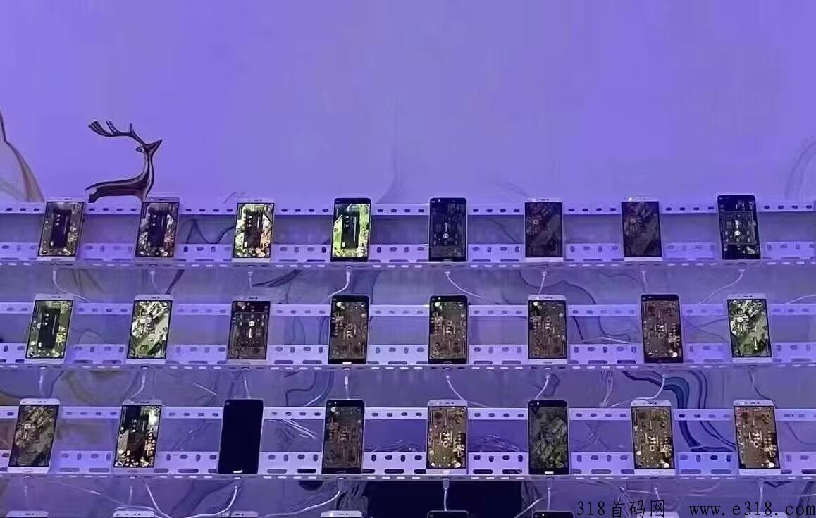 EDVL8YWDQ7(@CQR~3A%[4~E.jpg