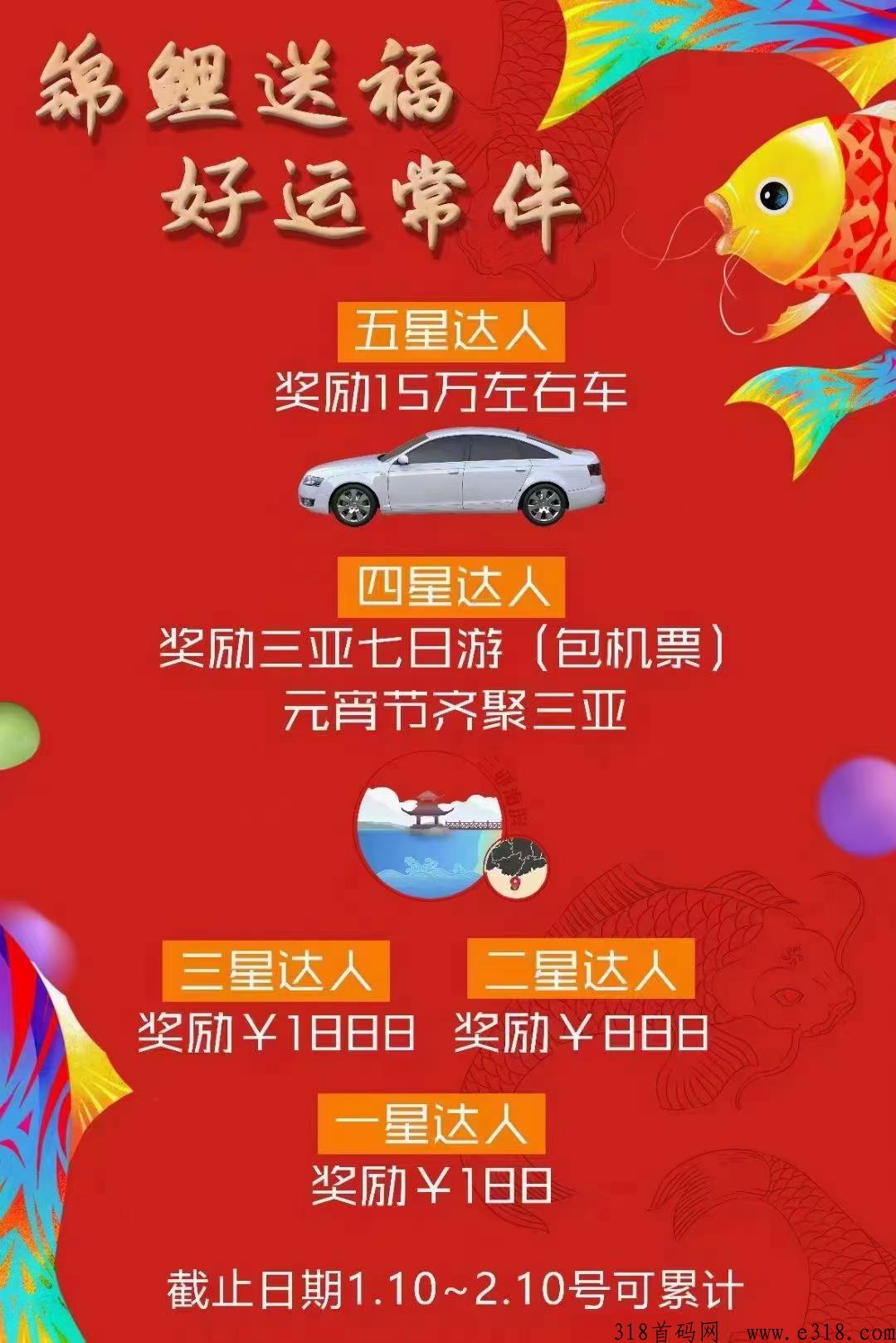 锦鲤送福，2024年王炸项目