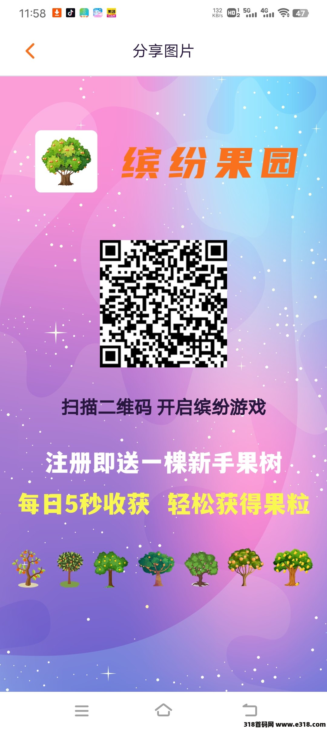缤纷果园，新首码项目