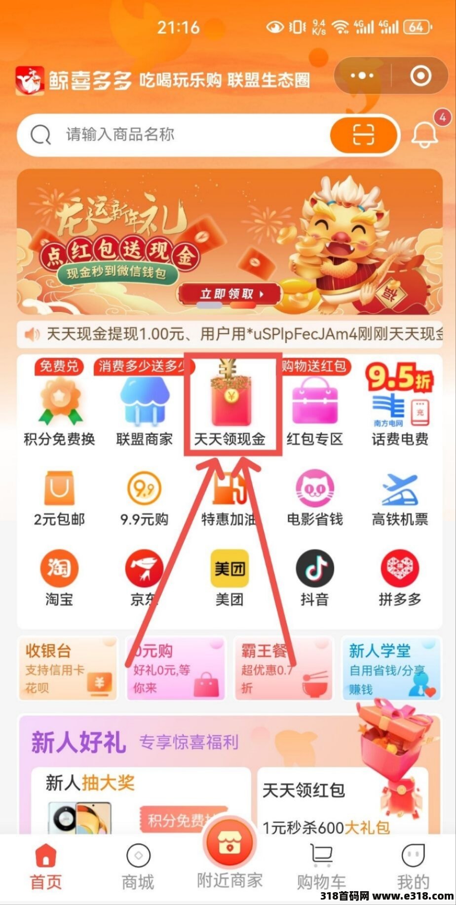 首码鲸喜多多，最强项目