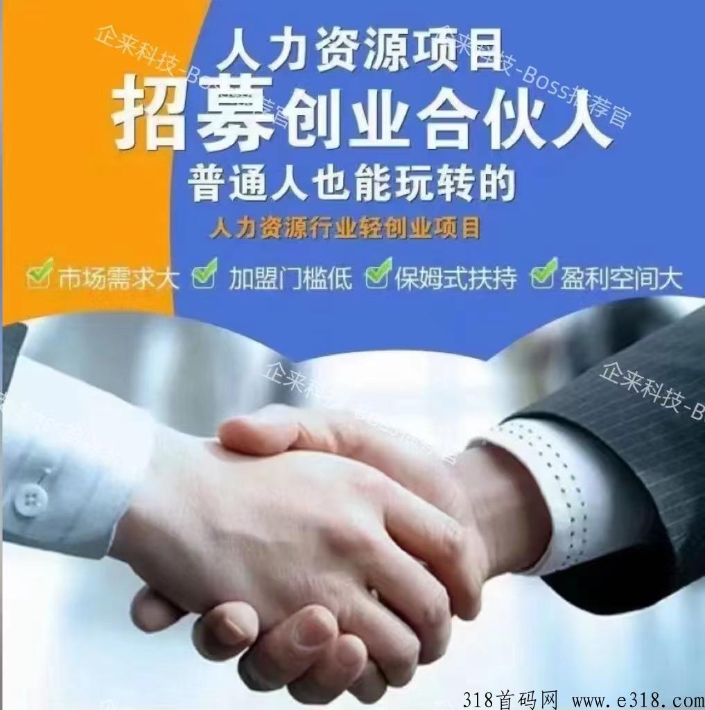 Boss推荐官项目，团队利润高