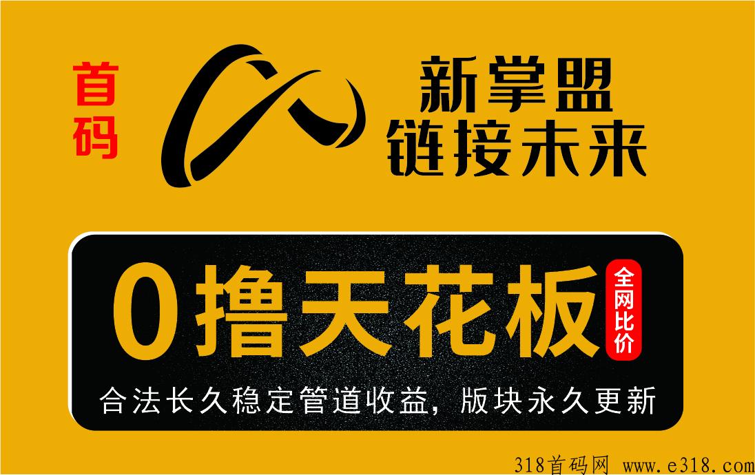 新掌盟生活刚需APP，日收益高