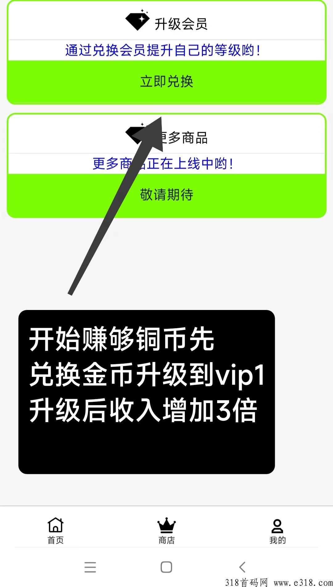 首码淘点小说，全自动挂机项目，一键启动无需手动
