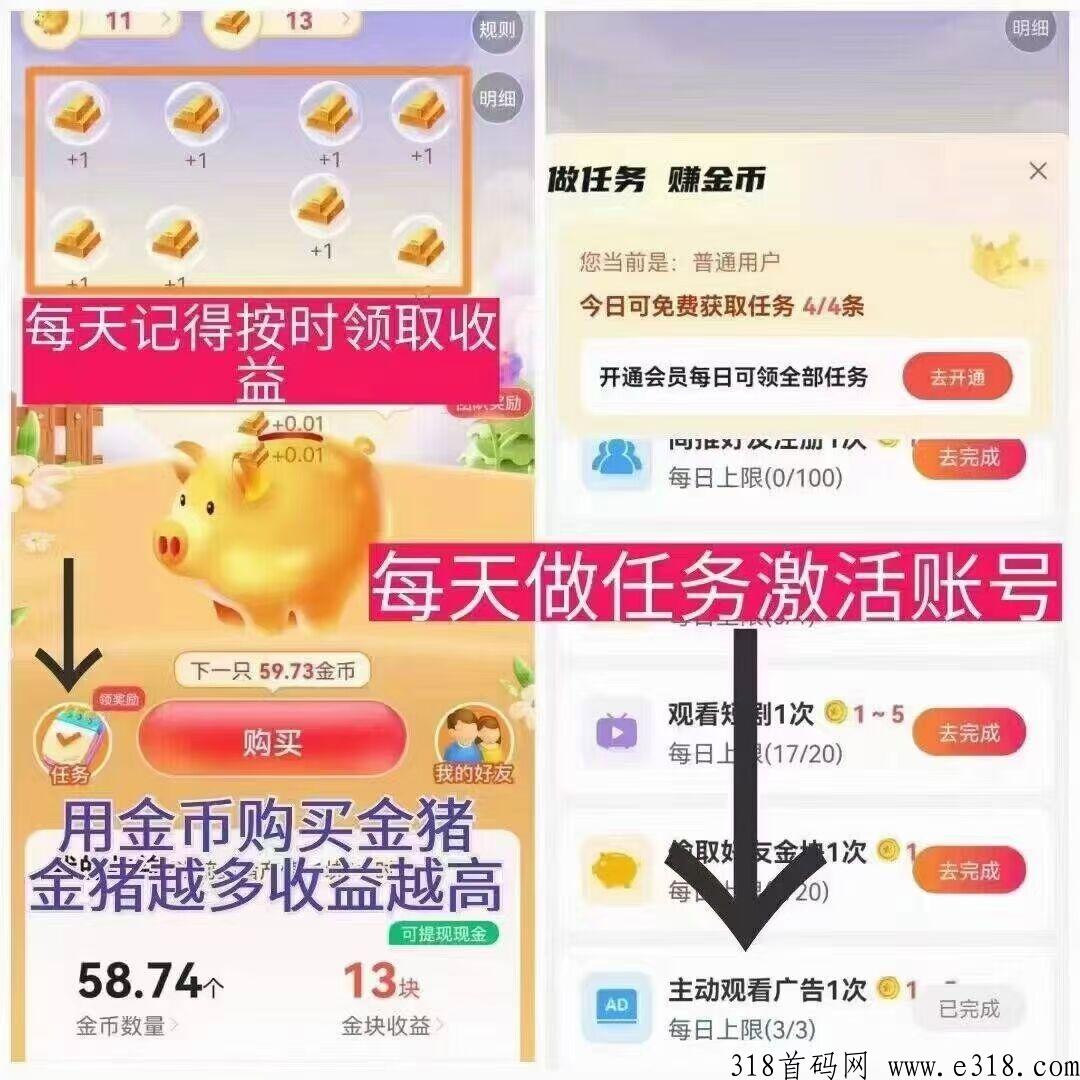 星抖短剧，零撸首码项目，全网公排