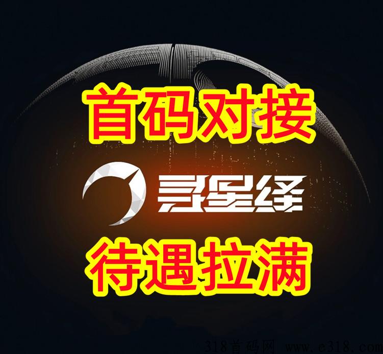 寻星绎，零撸项目，积极上线，政策扶持顶