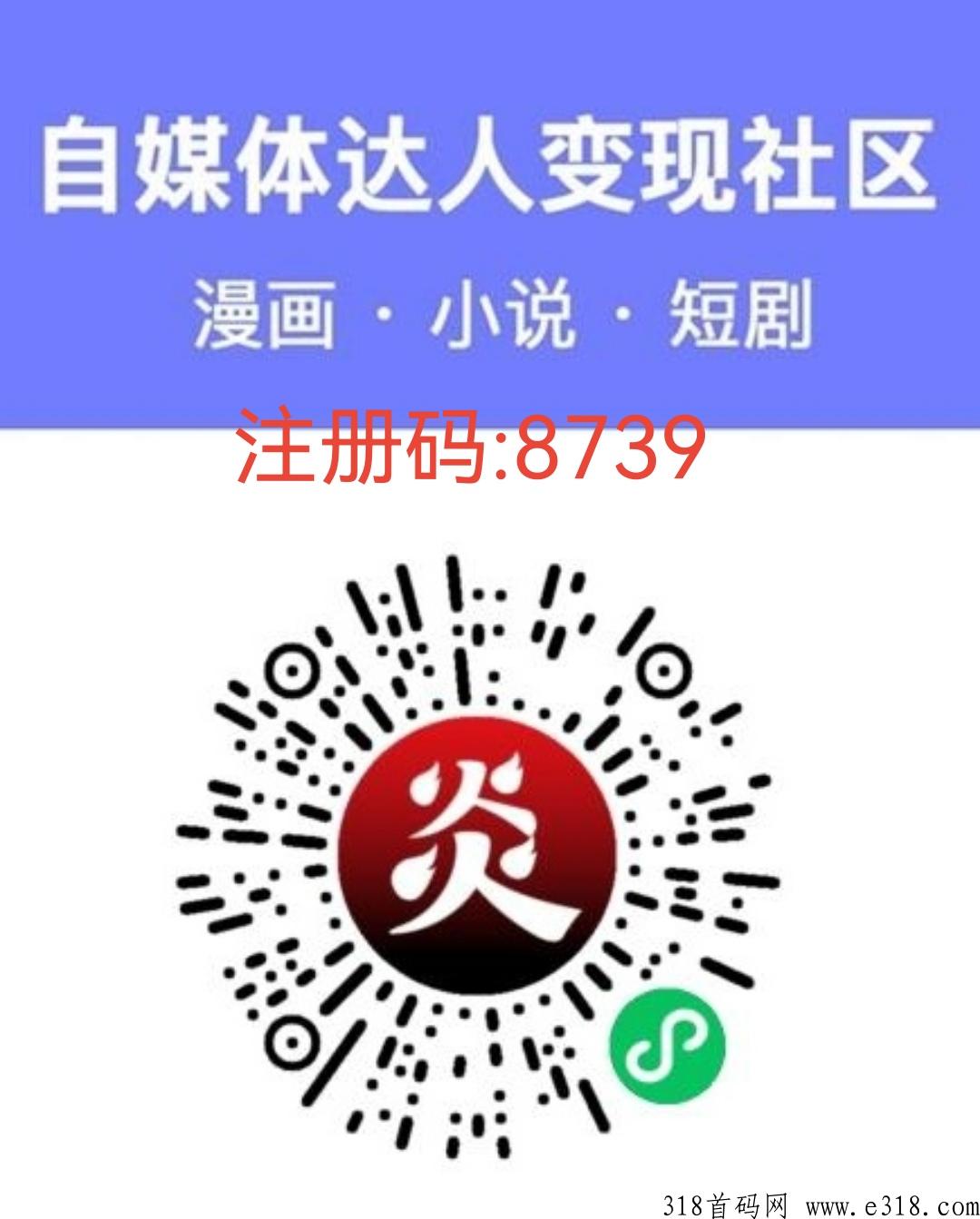 炎推是做什么的？注册码多少？