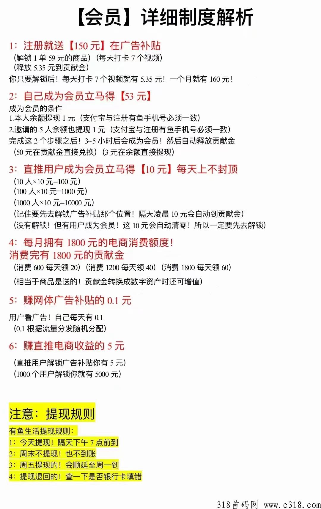 有鱼生活，2024最强项目，全能项目，诚邀各大团队！