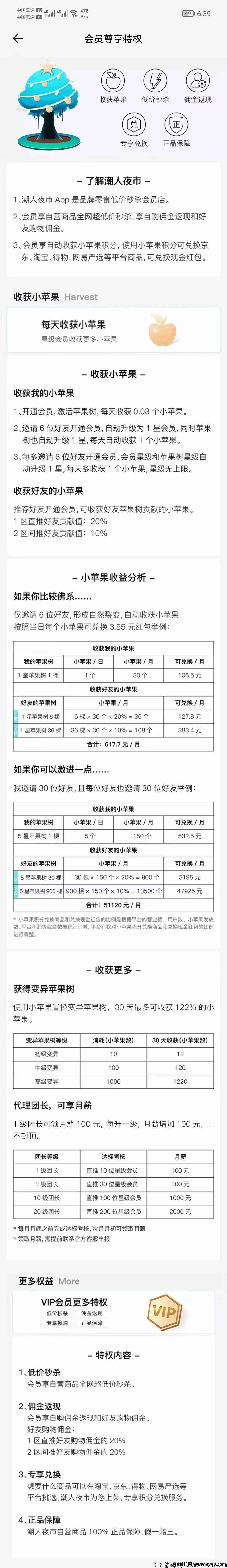 潮人夜市团队长免单扶持
