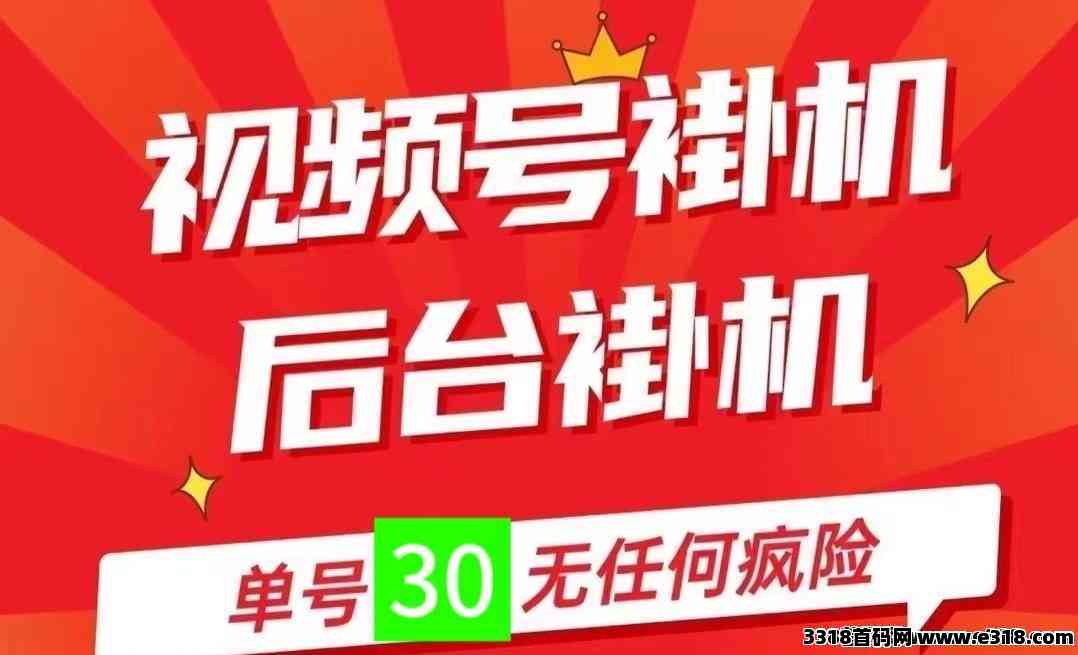 一斗米，视频号挂机需要实力网推