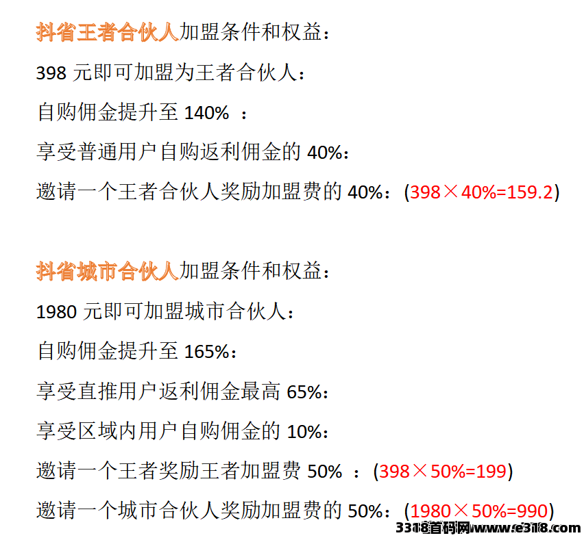 抖省加盟城市合伙人，王者合伙人