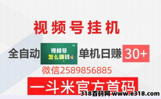 一斗米视频号24h自动挂机赚取收益！运营需要实力网推裂变