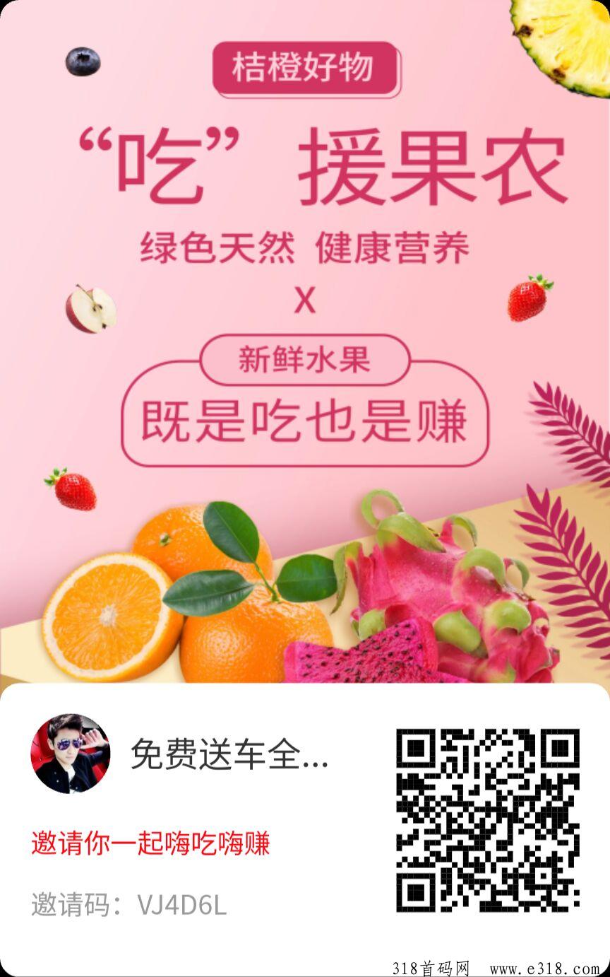 桔橙好物水果，风口项目一年四季的水果全包了，大力扶持团队长