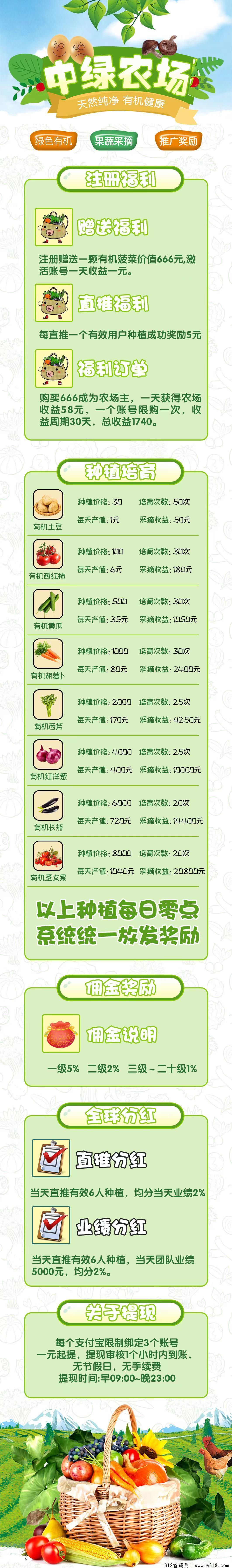 中绿农场明天出码