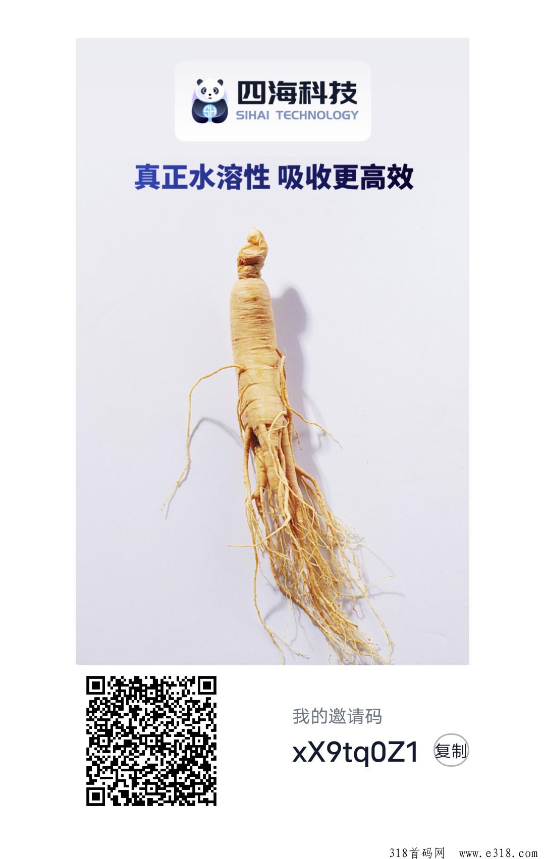 四海科技首码刚出，已经起飞，一键领取收益