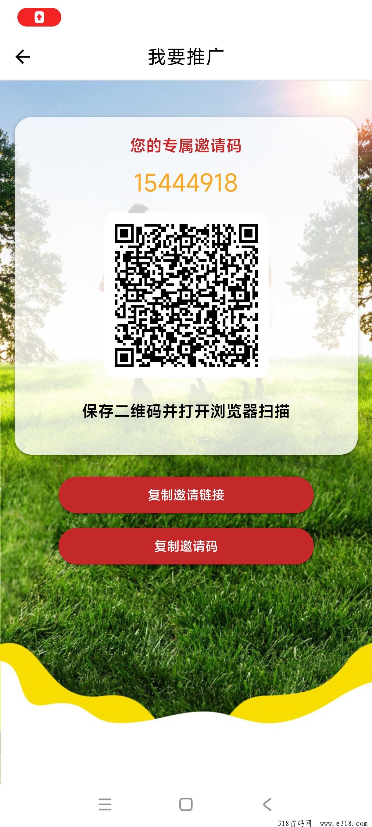 少年强，2024年最新的项目，大胆成大事