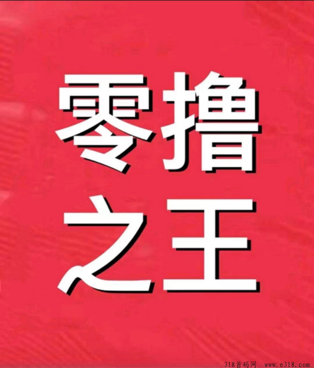 最新项目，首码招募