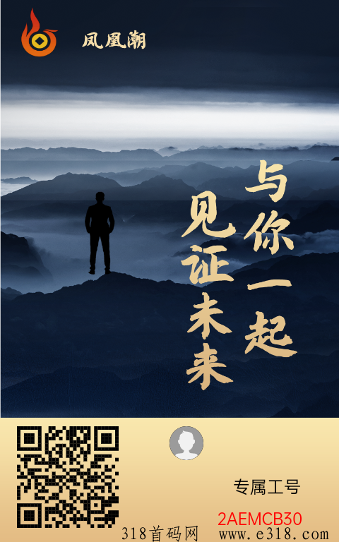 凤凰潮实体零撸项目，队长赚到爆单