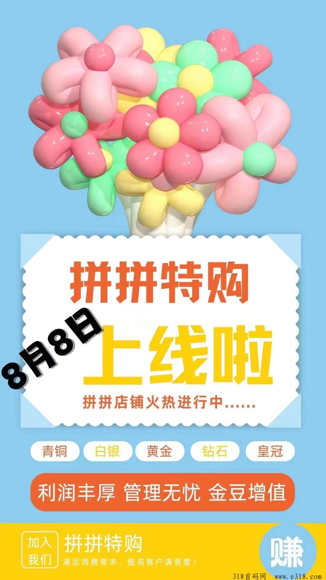 拼拼特购大咖齐聚发力！长沙试点已经落地的项目