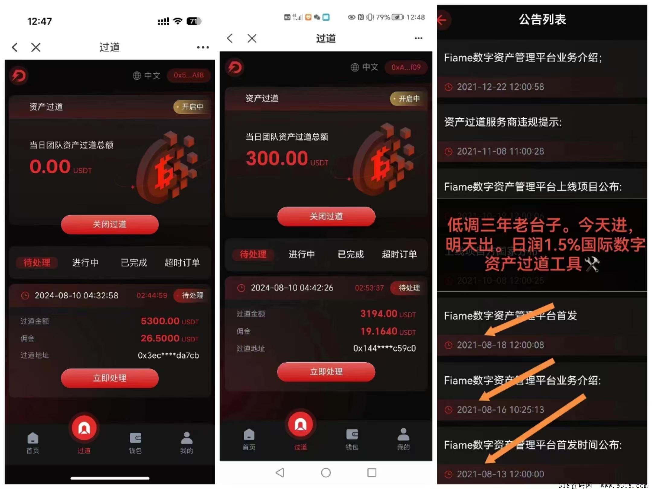 【Fiame国际项目】资源过道；随进随出 ，不锁仓！实力雄厚！