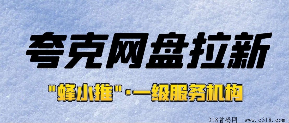 探寻夸克网盘转存收入技巧，官方授权平台攻略大公开