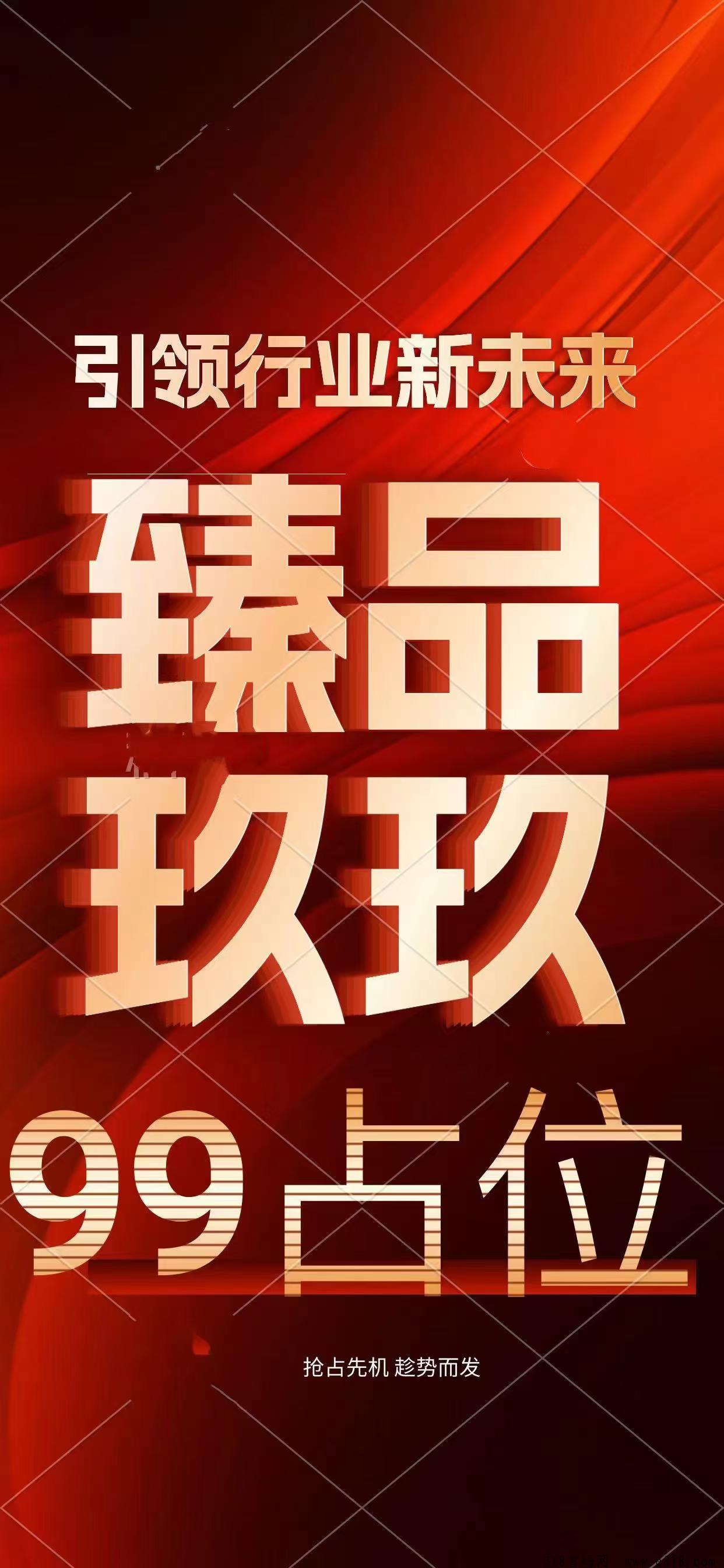臻品玖玖，2024风口项目，占位就是第一批，新手也能捡米