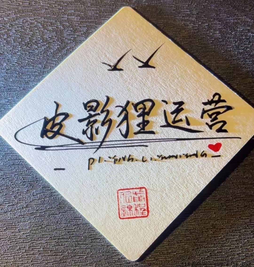 皮影狸首码对接，欢迎来