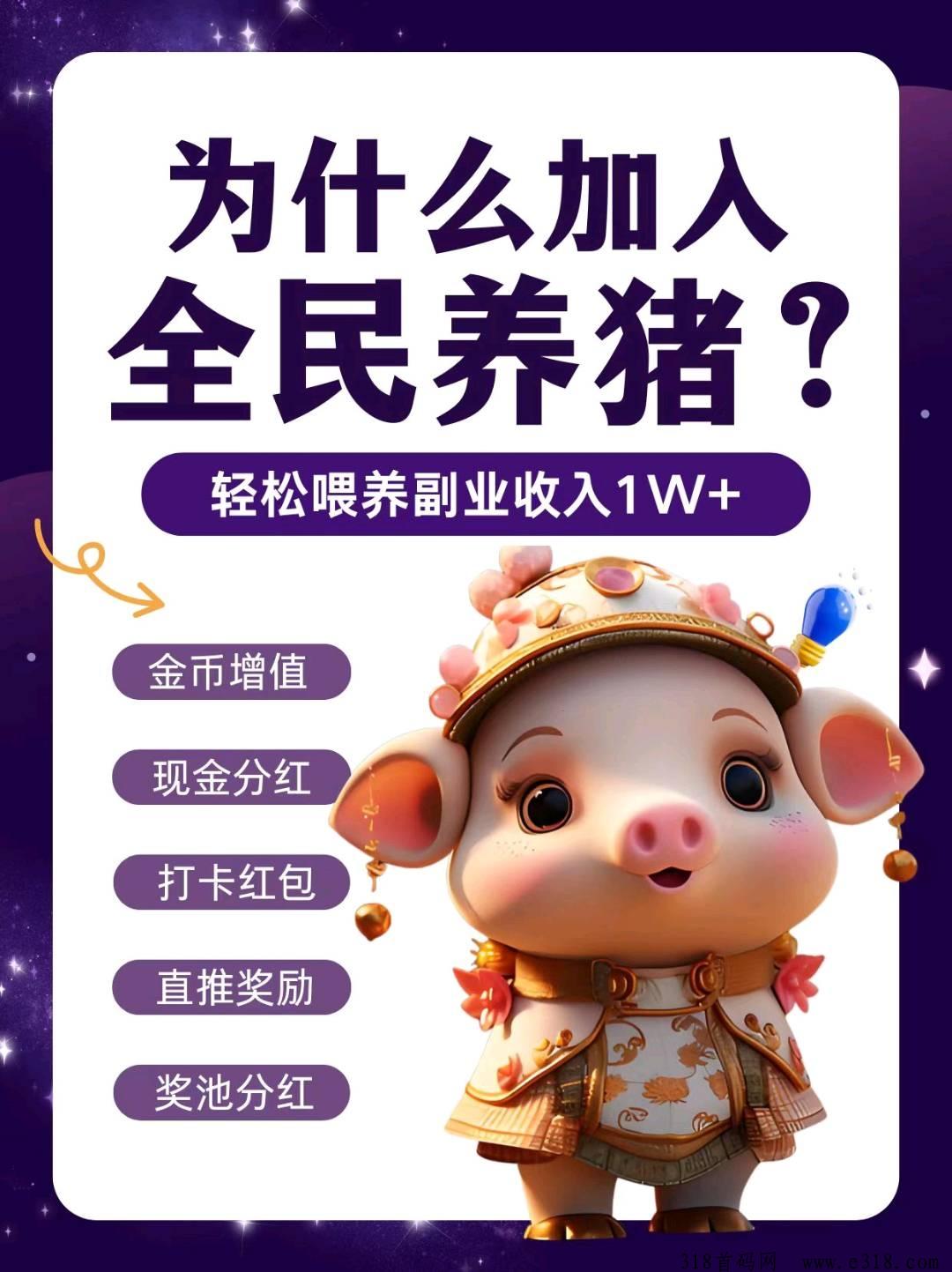全民养猪内排，9月初上线，招募首批领导人，还没内排的伙伴抓紧报单内排