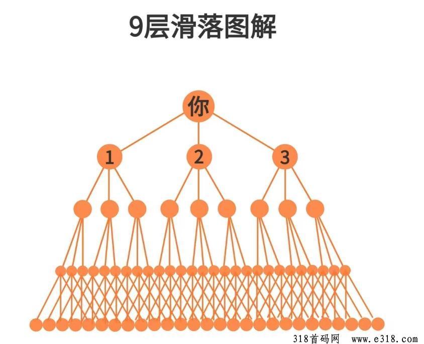 首码新项目乌龟对对碰，火爆开启