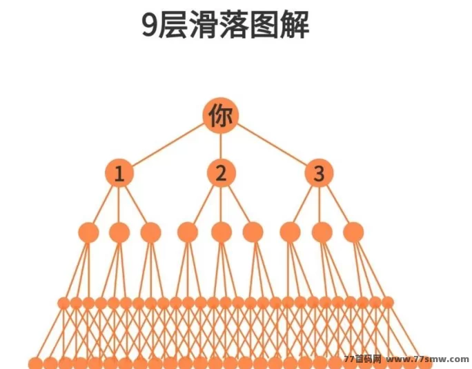 乌龟对对碰：轻松实现财务自由与乐趣双丰收！