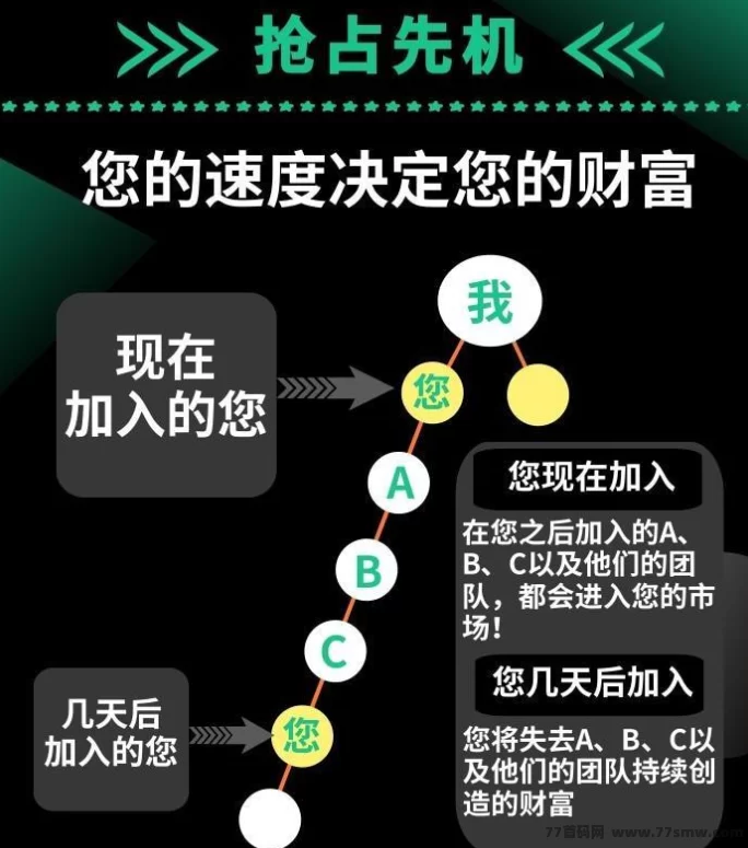 乌龟对对碰：轻松实现财务自由与乐趣双丰收！