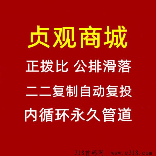 贞观商城，正拨比，公排滑落，二二复制全新模式，集团公司出品，2024王炸项目
