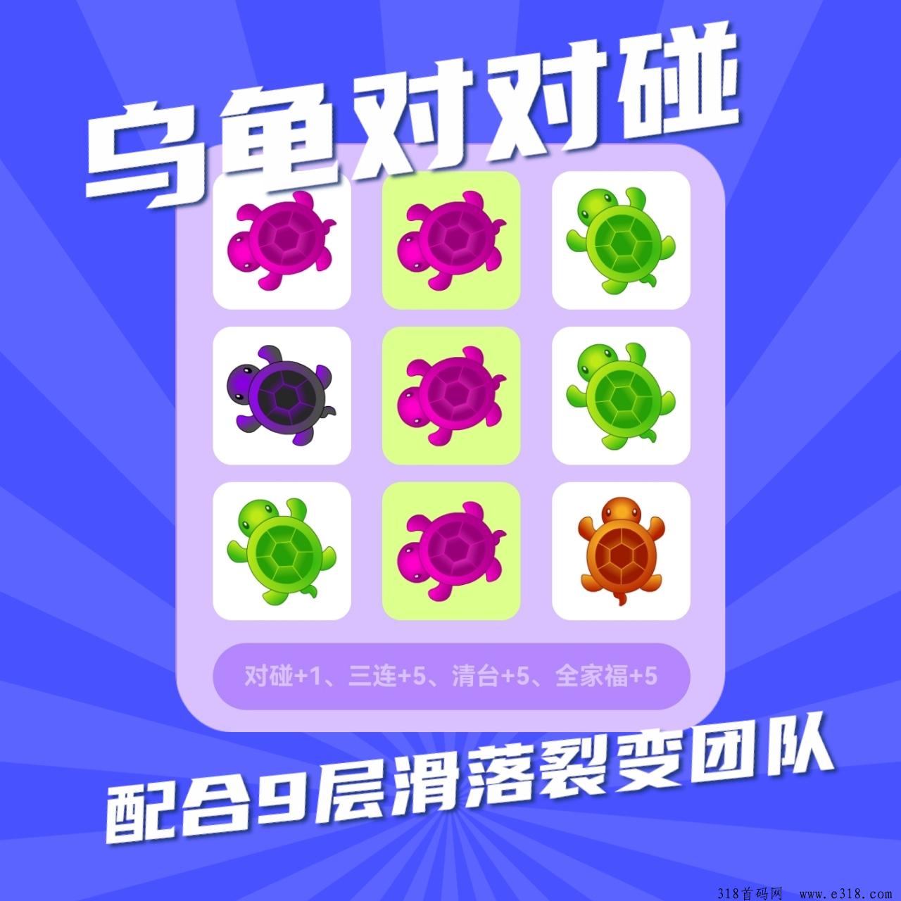 首码新项目乌龟对对碰，收益丰厚