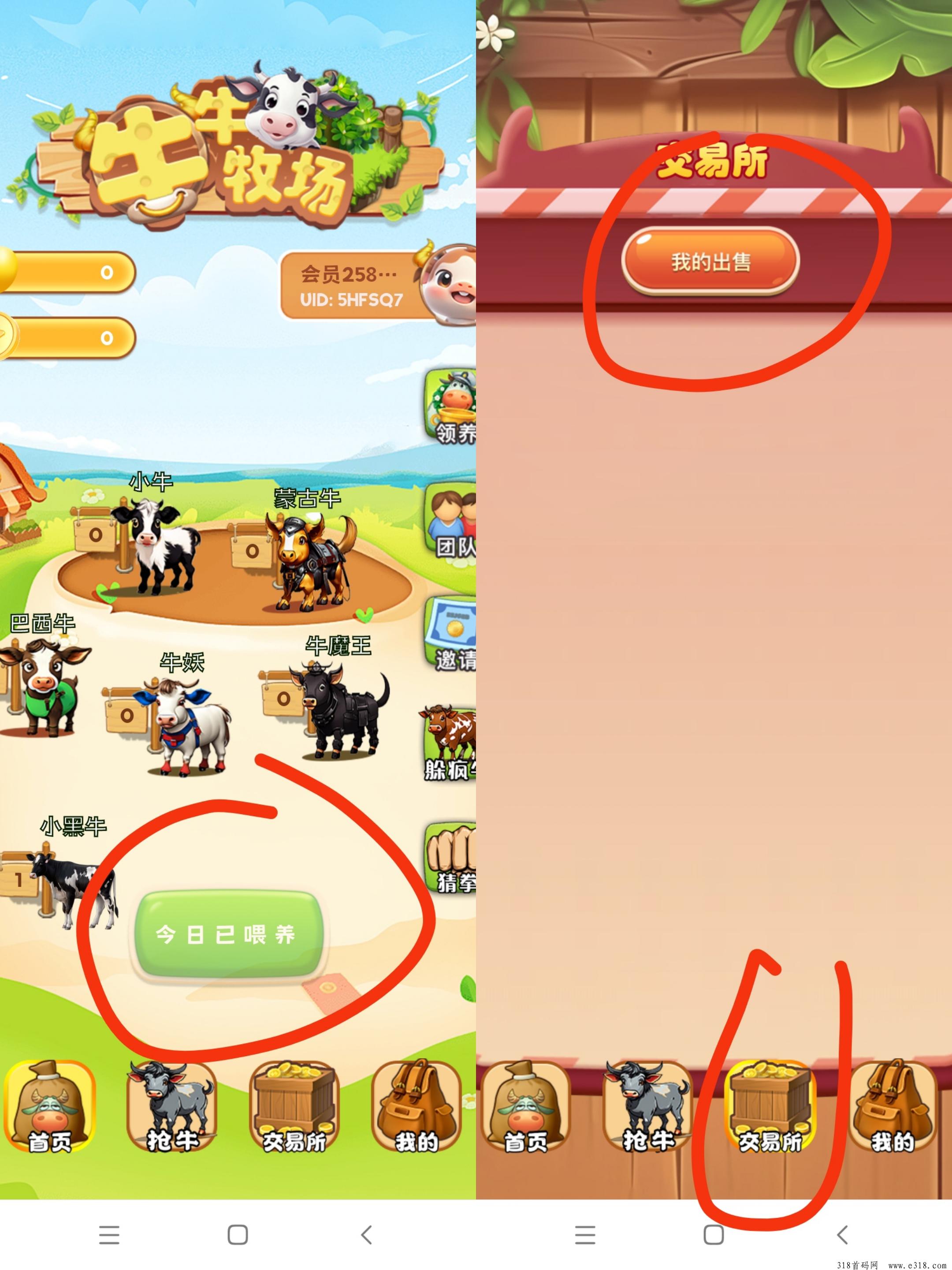 牛牛牧场，无广告，每天上线纯签到，多号多撸