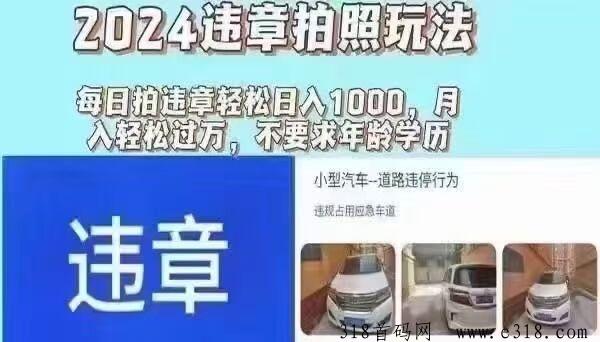 违拍拍，拍违章停车赚钱，最强正规副业，对接各大团队长